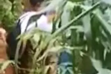 Ngintip Abg Di Kebun Singkong
